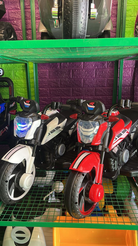 Electric motorcycle